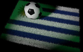 mk体育开云-巴西国家足球队在南美预选赛中占据优势，巴西国家足球队在南美预选赛中占据优势的是